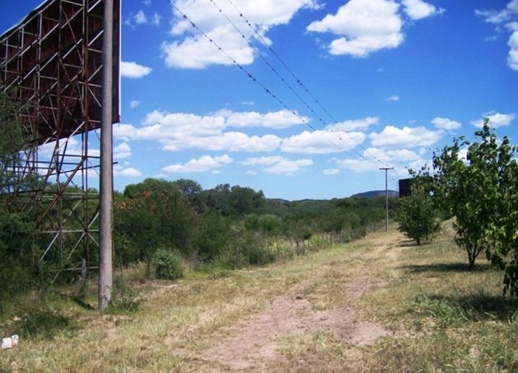 bosque autopista